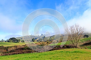 Scenic farming country, New Zealand. Mist rising from the hills