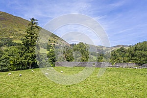 Scenic Farming Fields in Wales