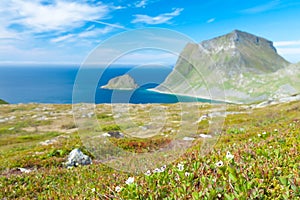 Scenic fjord on Lofoten islands with typical