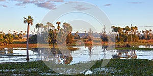 Scenic Florida Wetlands photo