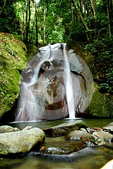 Escénico Bosque cascada 