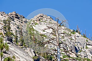 Scenic forested mountainside