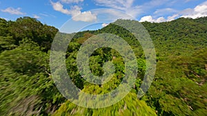 Scenic FPV flight over tropical road through the lush green rainforest in summer