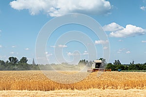 Scenic front view Big powerful industrial combine harvester machine reaping golden ripe wheat cereal field on bright