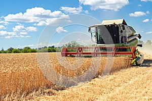 Scenic front view Big powerful industrial combine harvester machine reaping golden ripe wheat cereal field on bright summer or