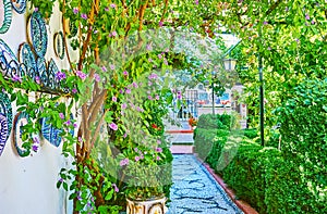 The scenic garden in Andalusian yard, Granada, Spain photo