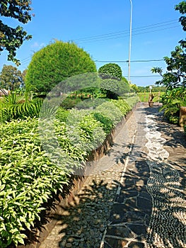 Scenic garden pathway with decorativestone flooring featuring a pebble mosaic pattern, bordered bylush green hedges, topiary trees photo