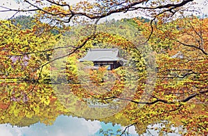 Scenic Garden View of Ryoanji Temple in Osaka, Japan in Summer