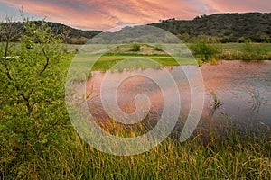 Scenic Golf Course Fairway and Green with Pond