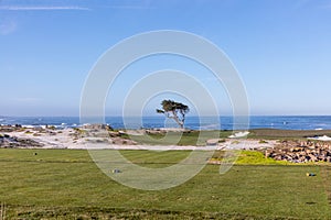 scenic golf course at the pacific coast in Pebble Beach