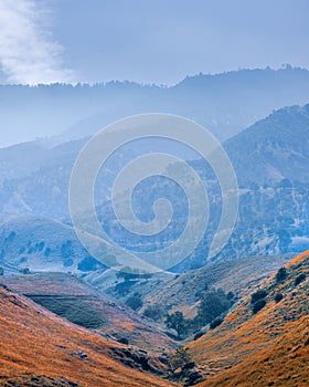 Scenic Gorman hills in California caught in fog .