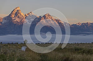 Scenic Grand Teton National Park Landscape in Autumn