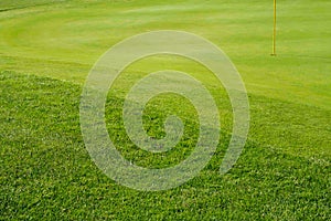 Scenic Grassy Golf Course Green and Fringe