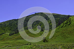 Scenic Green grass field view of rolling countryside green farm fields