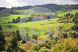 Scenic green hills in Tatras national park