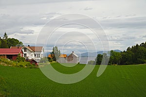 Scenic green landscape of Norway during summer time