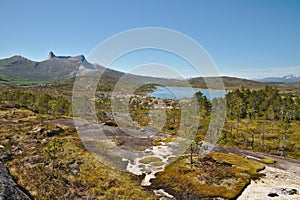 Scenic green landscape of Norway during summer time