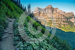 Scenic Highline Trail Views of Glacier Valley by the Going-to-the-Sun Road, Glacier National Park, Montana