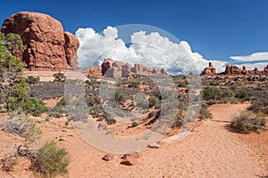 Scenic highway between Petrified Dunes and Fiery Furnace at Arches National Park Utah USA