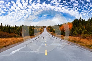 Scenic highway during a vibrant sunny day in the fall season.