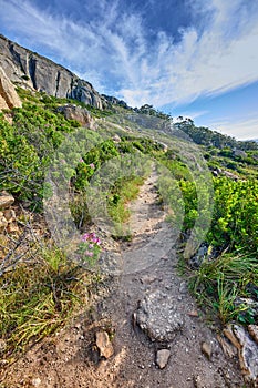 A scenic hiking trail along Lions Head mountain in Cape Town, South Africa against a cloudy blue sky background. A lush