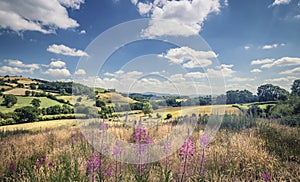 Scenic Hills of Welsh Countryside at Summer