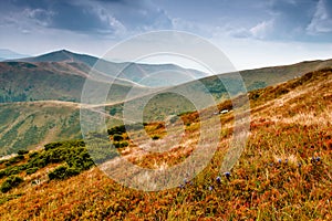 Scenic hillside of mountain.