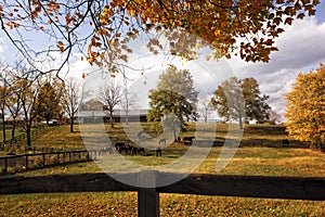 Scenic Horse Farm in Autumn