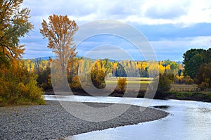 River in the fall