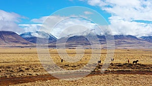 Scenic Icelandic countryside. Mountains with yellow grass at autumn. Blue sky with clouds on the mountain. Aerial rural