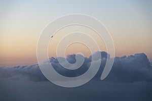 Scenic image of a gull flying above a layer of clouds haging over the sea after sunset with a pink sky