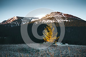 Scenic image of the wilderness area. Location Carpathian, Ukraine, Europe