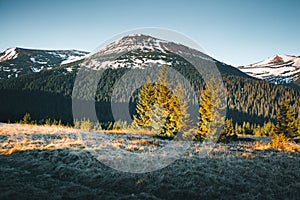 Scenic image of the wilderness area. Location Carpathian, Ukraine, Europe