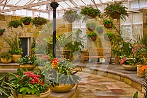 Scenic indoor garden area