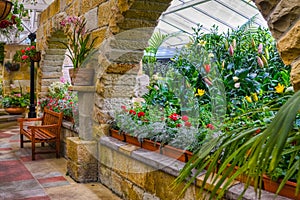 Scenic indoor garden area