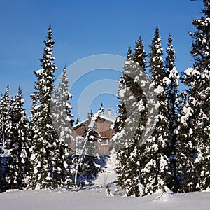 Scenic instagram of cottage in winter