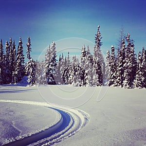 Scenic instagram of snowmobile tracks in snow