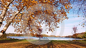 Scenic Island lake recreation area ,Aspen tree along small beach by the lake