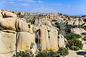 Scenic Jumbo rock in Joshua Tree National Park