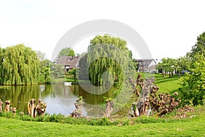 Scenic lake, boat and willows landscape in the Betuwe, Holland