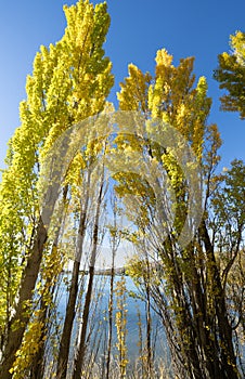 Scenic Lake Dunstan and surrounds at Cromwell