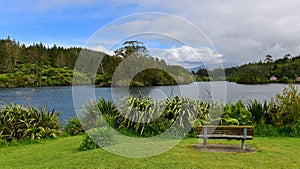 Scenic Lake Mangamahoe and its lush bank in New Zealand