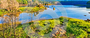 Scenic lake in the middle of Sri Venkateswara biosphere in Tirupati, Andhrapradesh, India