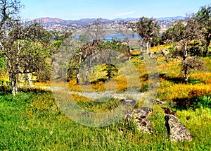 Scenic Lake in Mountains of California