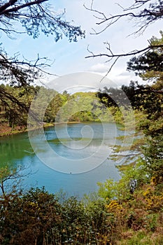 Scenic Lake and Woodlands at the Blue Pool, Dorset, England