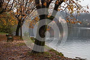 Scenic lakeside landscape featuring a small island in the middle of Lake Bled in Slovenia.