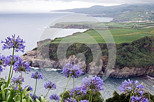 Scenic landscape: blue agapanthus flowers, sea, cliffs and cloudy sky in the center of the island of San Miguel on the Portuguese