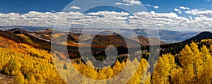 Scenic landscape of bright fall foliage in Wasatch mountains state park in Utah