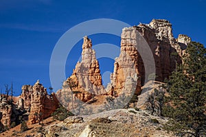 Scenic Landscape in Bryce Canyon National Park