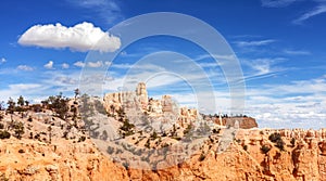 Scenic landscape in Bryce Canyon National Park.